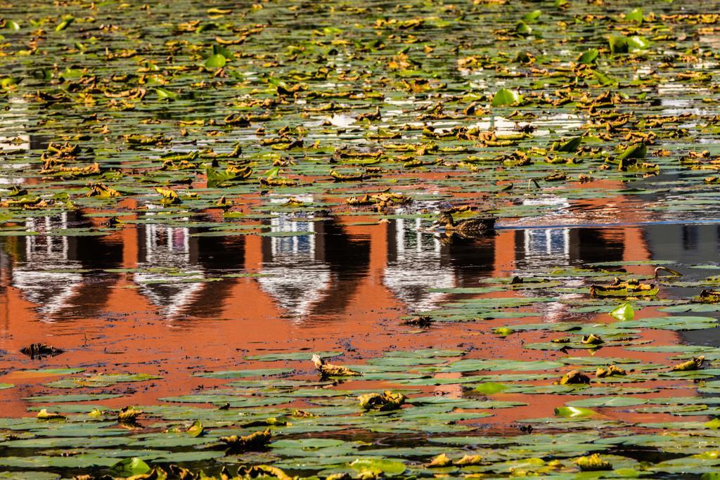 Hotel Prinz Albrecht Neuzelle Esterno foto
