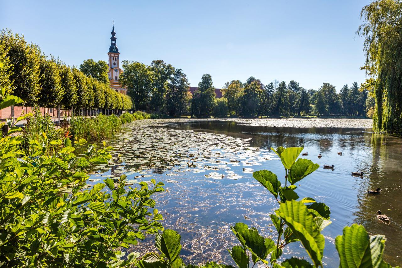 Hotel Prinz Albrecht Neuzelle Esterno foto